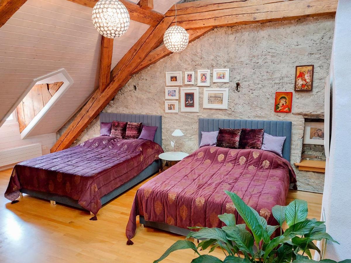 Maison D'Ammann Fryburg Zewnętrze zdjęcie